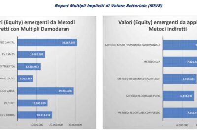 Multipli Impliciti Valore Settoriale: Ateco 55.10 – Alberghi (Ed. 2024) Free